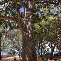 jennifer gruß's Photo