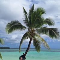 Fera Indriya的照片