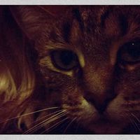 moomin oehlmann's Photo