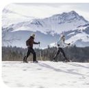 Skiing And Hiking 的照片