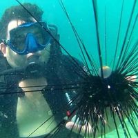 George Risov's Photo