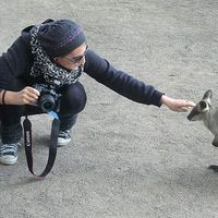 Lili Dreissigacker's Photo