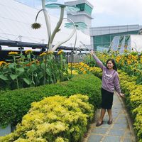 Riri (Lily) Felicia的照片