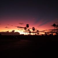 Martha Zanetti's Photo