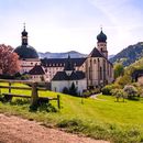 afternoon walk in Münstertal 's picture