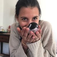 Melania Pondrano的照片