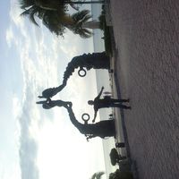 hugo sanchez的照片