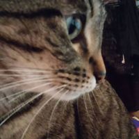 Kandace Kamberg's Photo