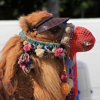 Michael Schweres的照片