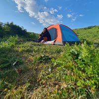 Tasneem Firdous的照片