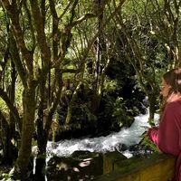 Camila Cappelatti's Photo