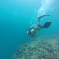 Fotos de Yulian Cordero Sanchez