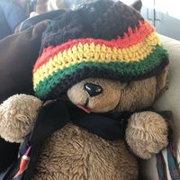 Dee Stevens的照片