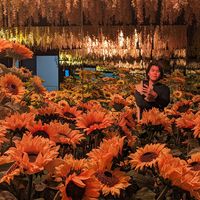 phachara mingkhwan的照片