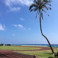 Фотографии пользователя Lena Lin