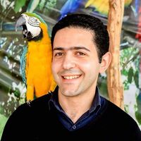 Mohamed Hamed's Photo