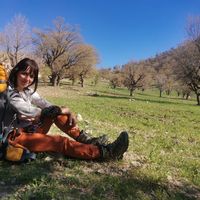 Marziye Rabiei的照片