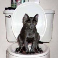 Fotos de Florian Albracht