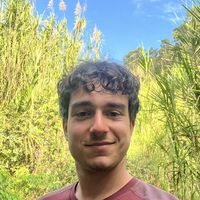 Fotos de Boyan Lilov