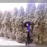 Farha Hamed的照片