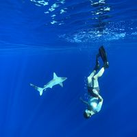 Danilo Wulsten的照片