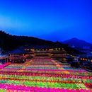 Lantern Festival In Busan's picture