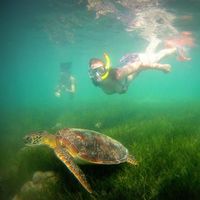 Katherine Alice's Photo