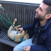 Le foto di Sebastian Klöckner