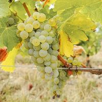 Justine Bivc's Photo