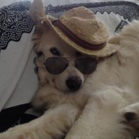 Fotos de Voilá Jardin