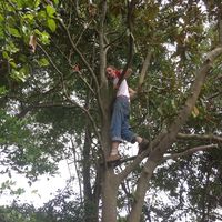 Photos de Noah Gavrich