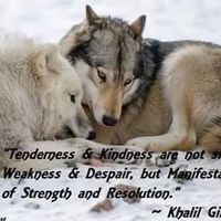 Photos de George Henry