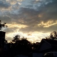 yvette flores's Photo