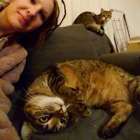 Fotos de Agnieszka Wielgosz