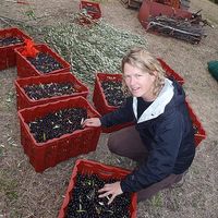 Sarah Spaeth's Photo