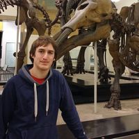 Jef D'Hauwe的照片