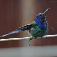 Ludmilla Moreira的照片