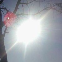 Angela Castan Brun's Photo