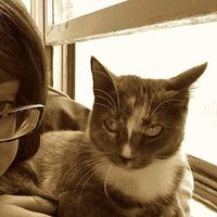 Fotos von Sabina Saakova