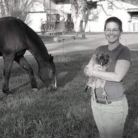 Rosie Wilson-Briggs的照片