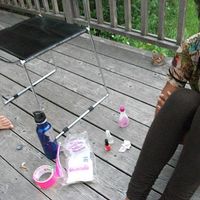 Danielle Bowen's Photo