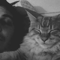 Mitja Ostrc的照片