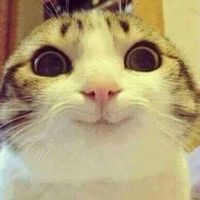 Ergün Namal的照片