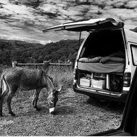 Molly Mitchell的照片