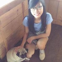 Photos de Sunshine Cosy