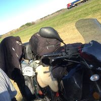 Damian Travaglini's Photo