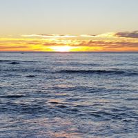 david simmons's Photo