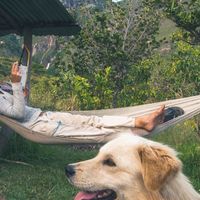 Carla Milhas的照片