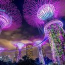 Let’s Explore Singapore Together 's picture