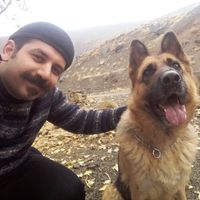 Photos de Amin Jamshidi